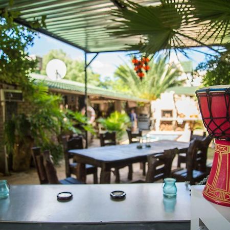 Tsumeb Backpackers & Safari Hostel Εξωτερικό φωτογραφία